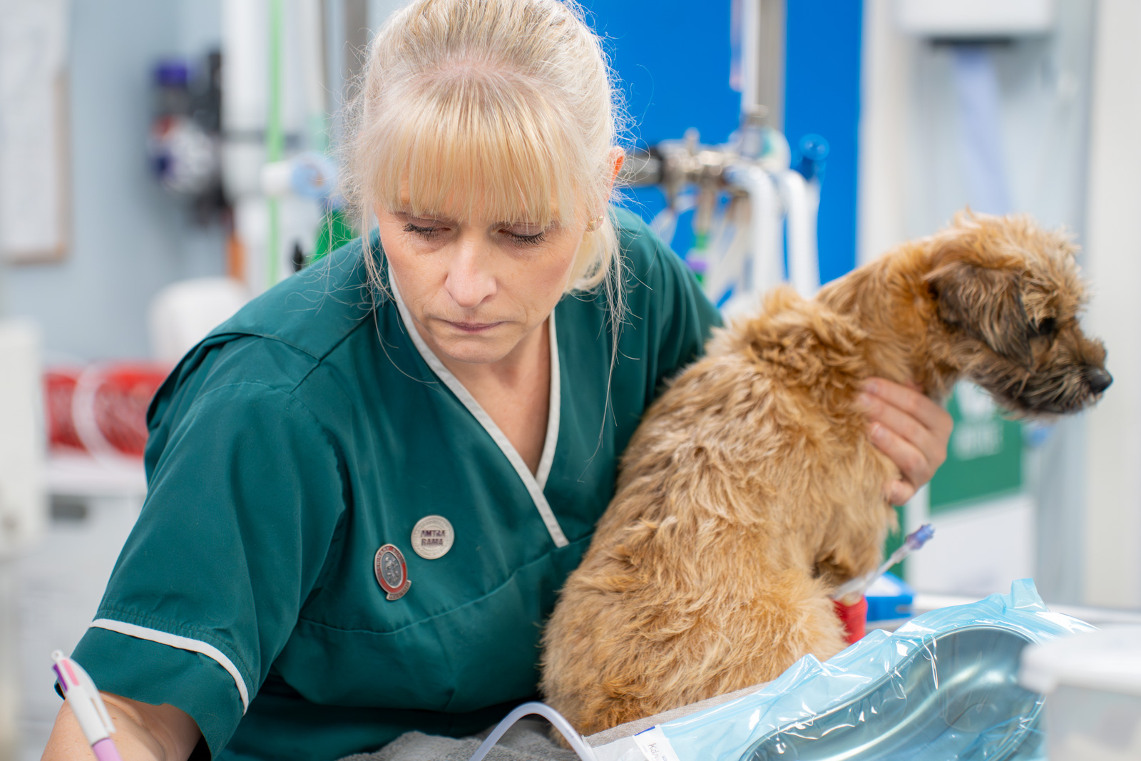 Aireworth Vets 2024-10 (Web) 011